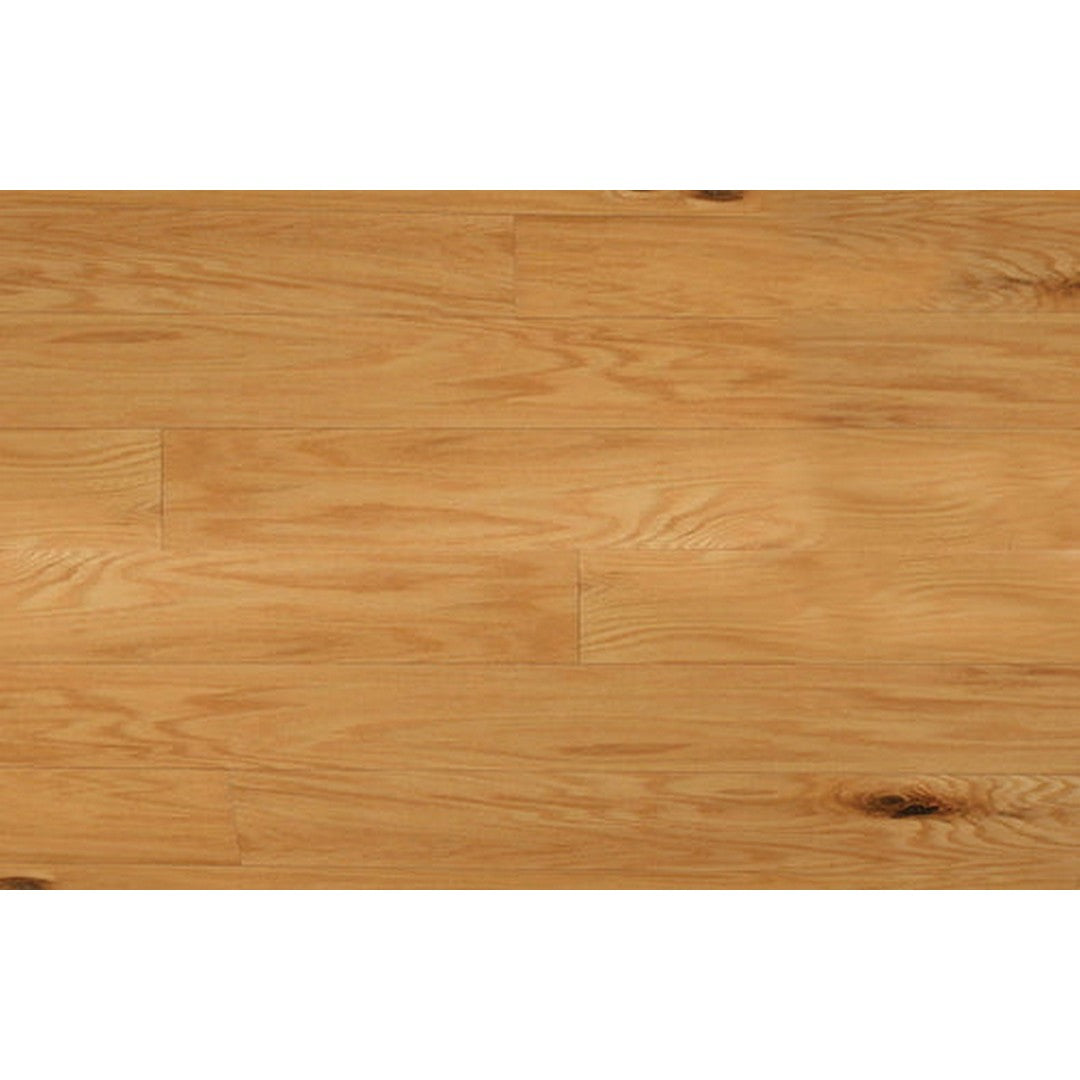 From The Forest Oak Street 5" Hardwood Plank