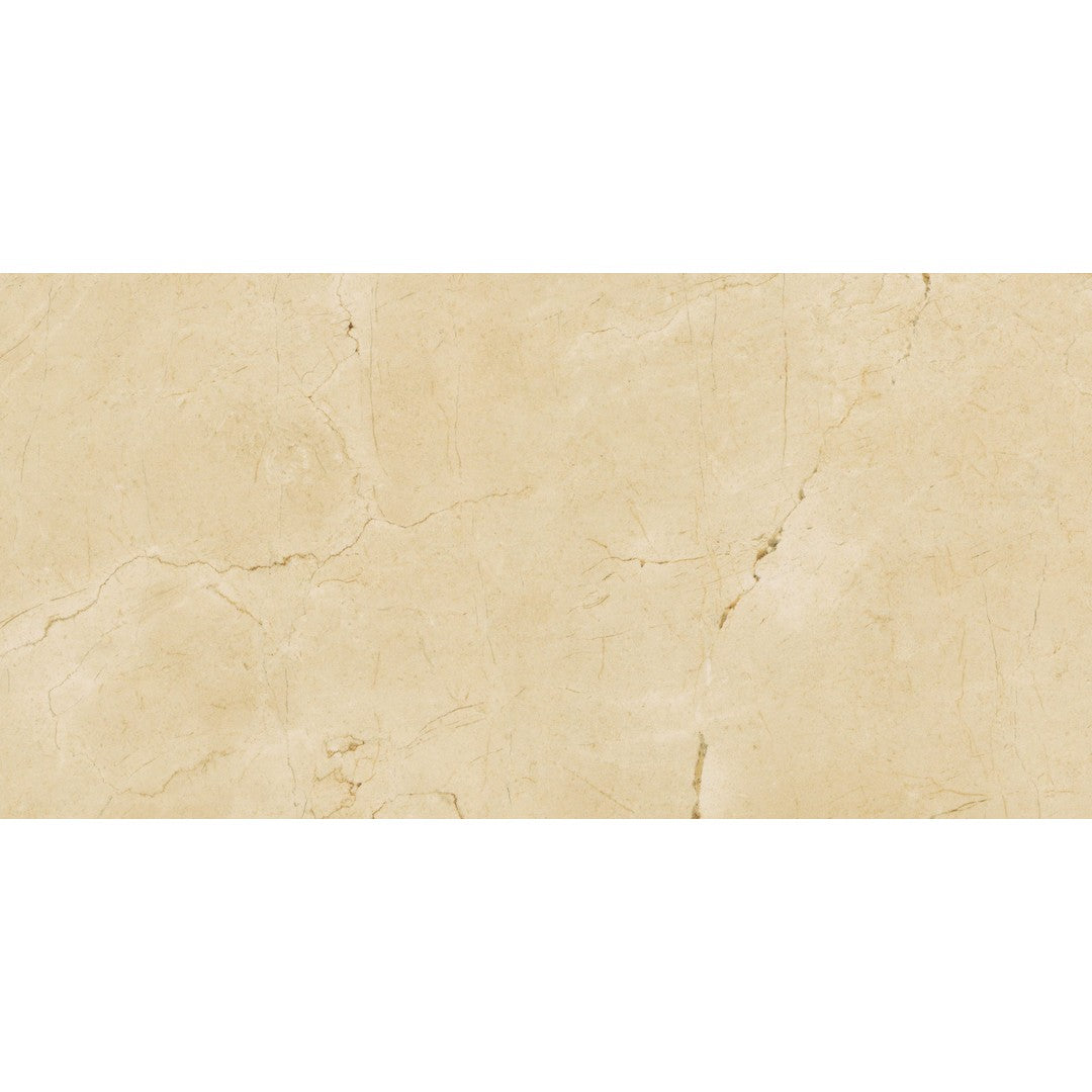 Florida Tile Enchant 12" x 24" Matte Porcelain Tile