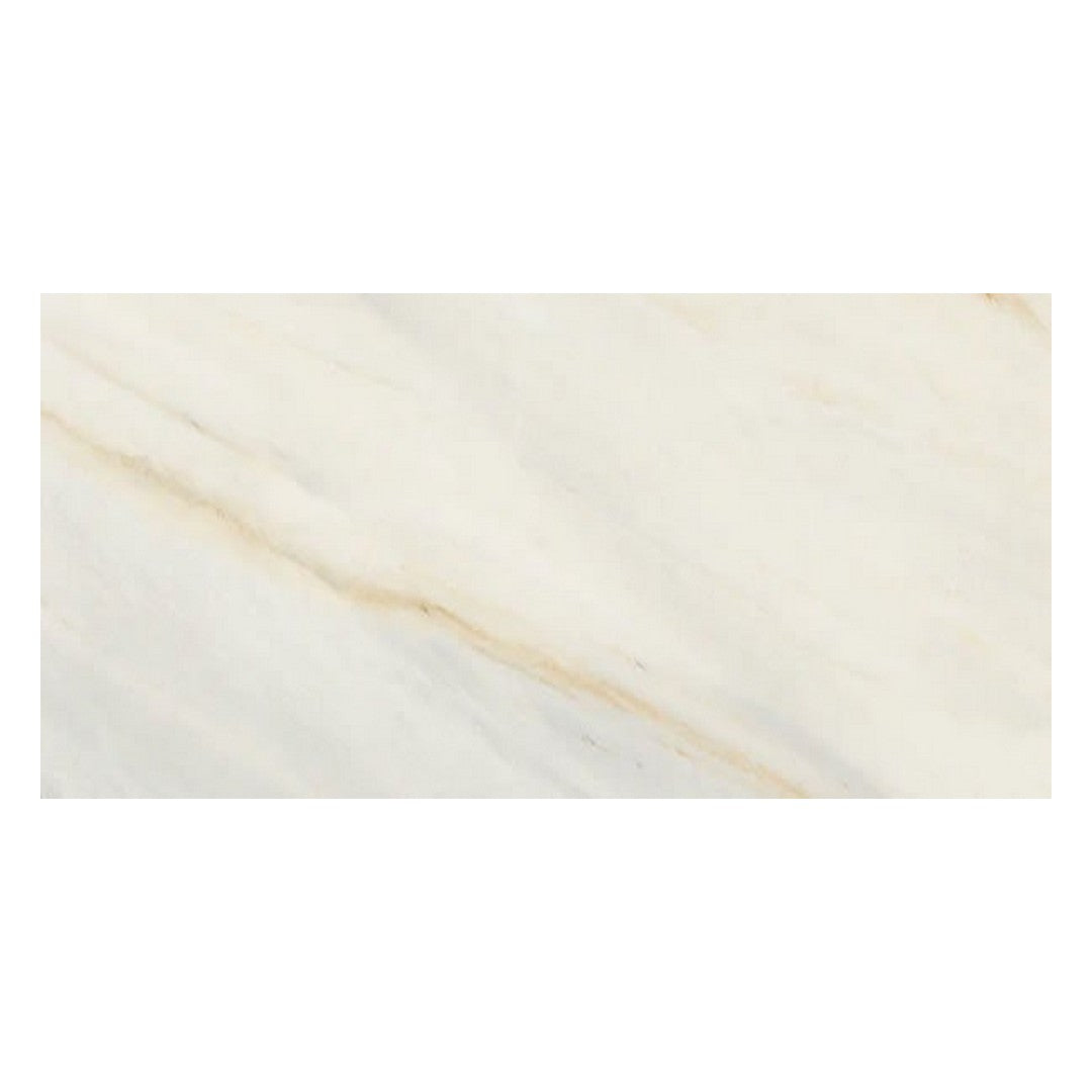 Del Conca USA 24" x 48" Eden Rectified Porcelain Tile