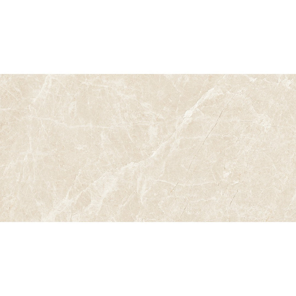 Tesoro 24" x 48" Lucca Rectified Polished Porcelain Tile