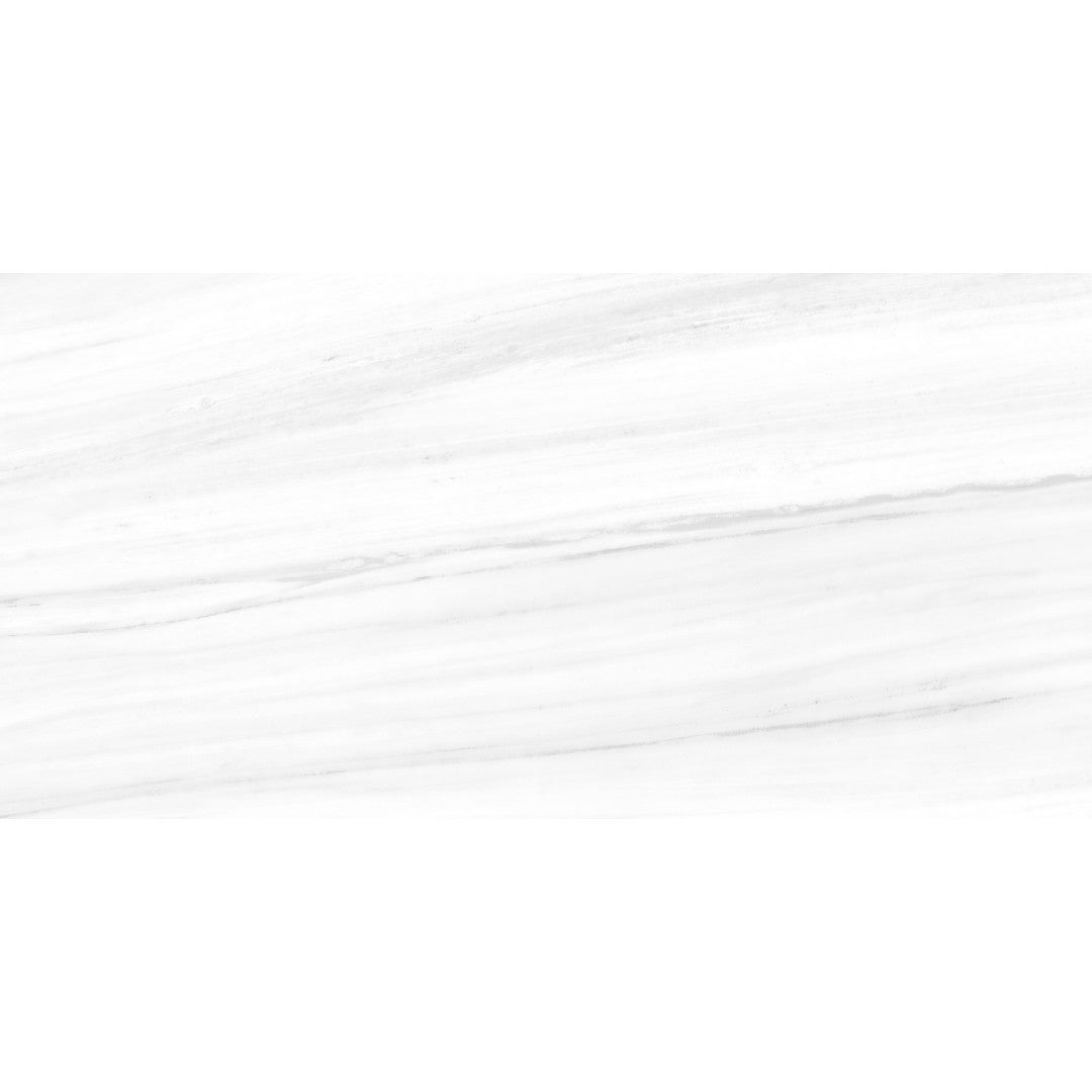 Tesoro 24" x 48" Lucca Rectified Polished Porcelain Tile