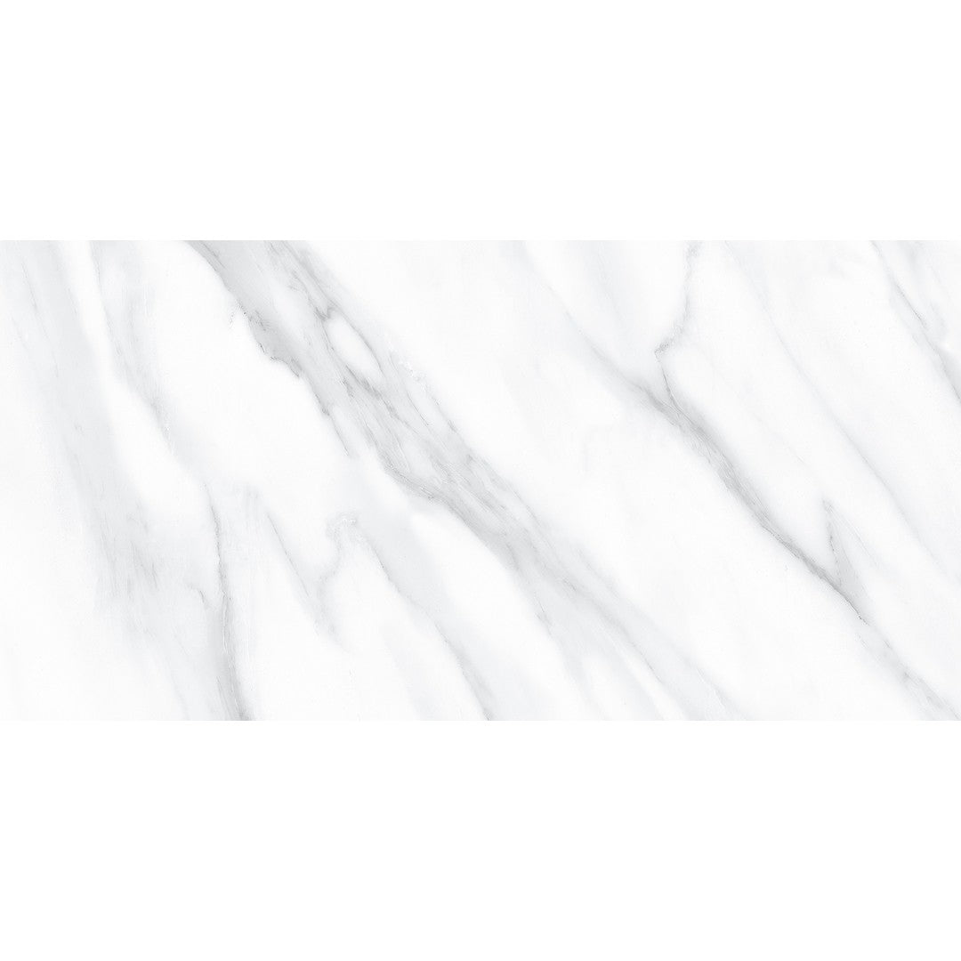 Tesoro 12" x 24" Lucca Rectified Matte Porcelain Tile