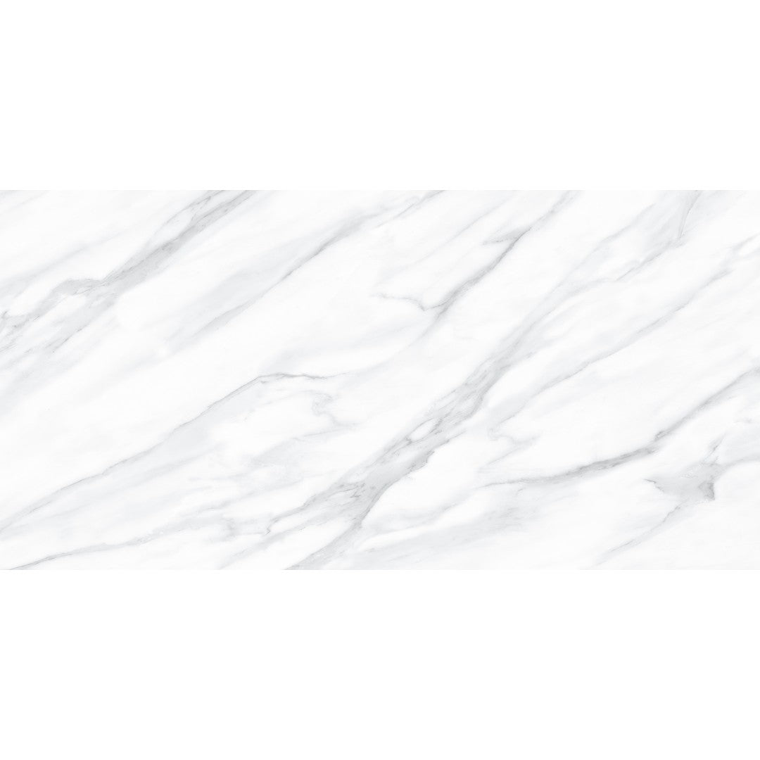 Tesoro 24" x 48" Lucca Rectified Polished Porcelain Tile