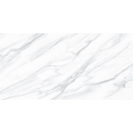 Tesoro 24" x 48" Lucca Rectified Polished Porcelain Tile