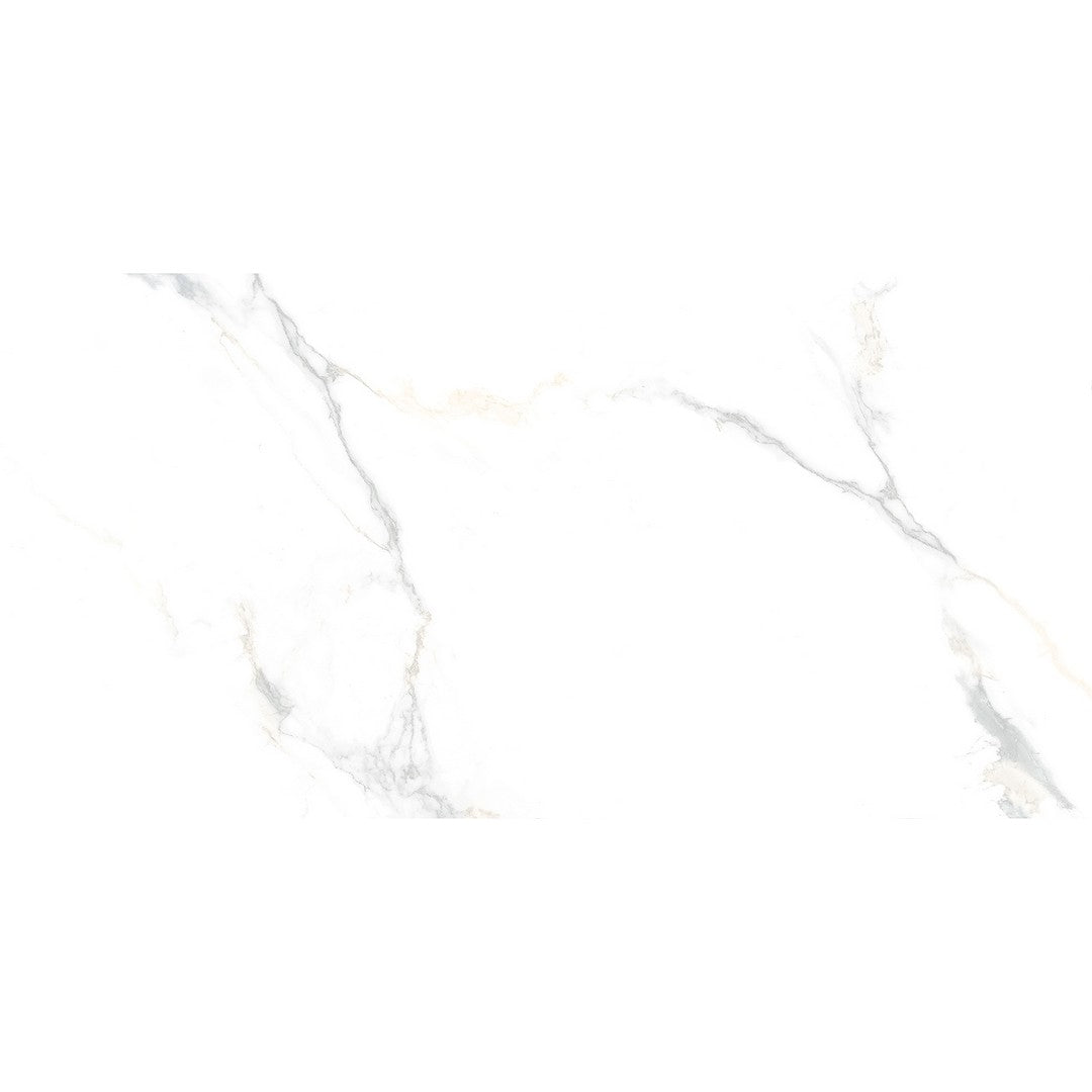 Tesoro 24" x 48" Cora Rectified Matte Porcelain Tile