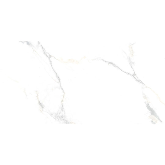Tesoro 24" x 48" Cora Rectified Matte Porcelain Tile