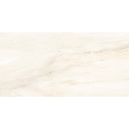 Tesoro 24" x 48" Castello Rectified Polished Porcelain Tile