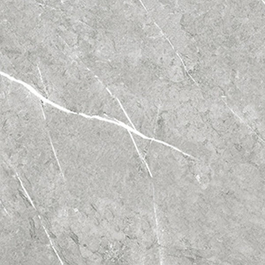 Tesoro 24" x 24" Pedra Rectified Polished Porcelain Tile