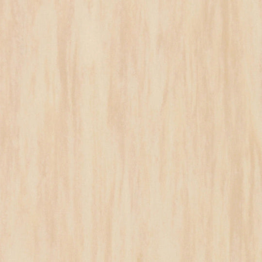 Tarkett 12" x 24" Standard Plus Homogeneous Vinyl Tile 2mil