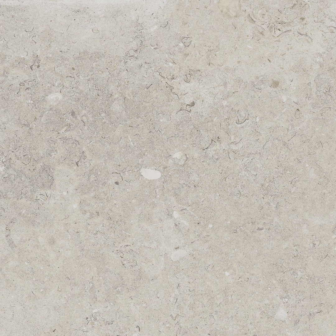 Happy Floors 24" x 24" Coralina Rectified Natural Porcelain Tile