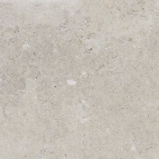 Happy Floors 24" x 24" Coralina Rectified Natural Porcelain Tile