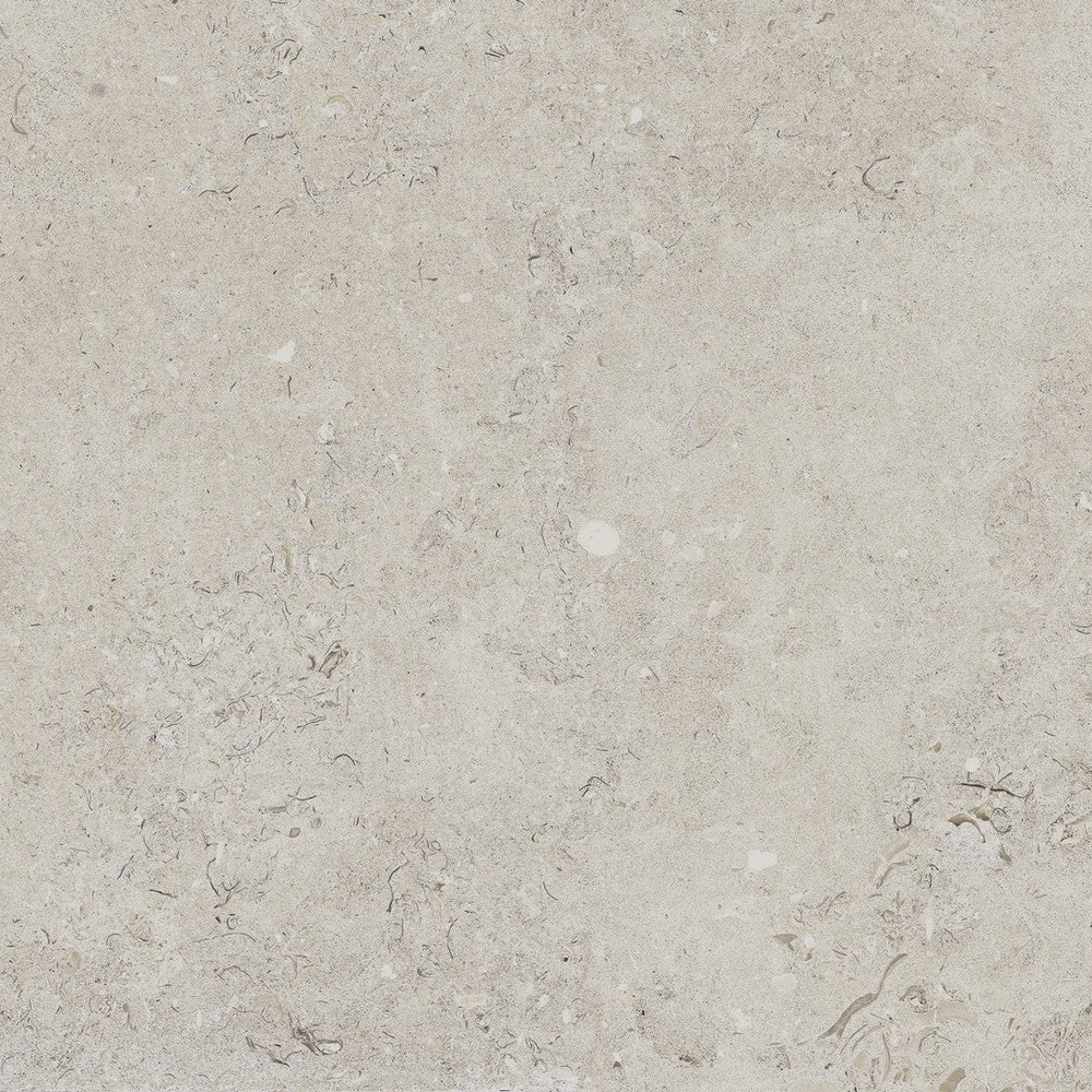 Happy Floors 24" x 24" Coralina Rectified Natural Porcelain Paver 2CM