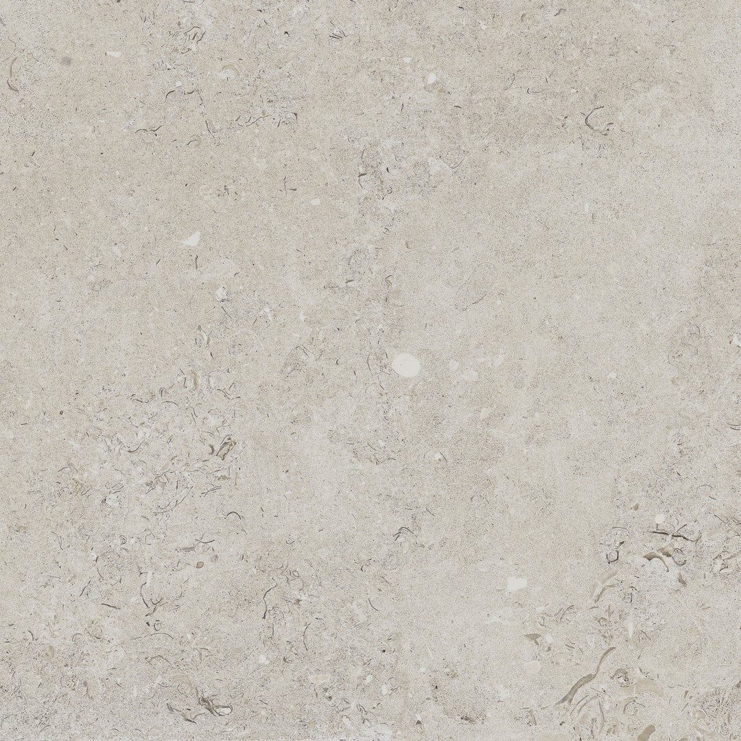 Happy Floors 24" x 24" Coralina Rectified Natural Porcelain Paver 2CM