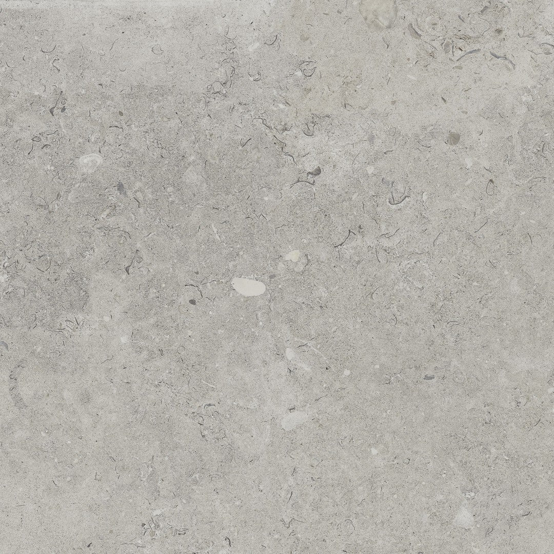 Happy Floors 24" x 24" Coralina Rectified Natural Porcelain Tile
