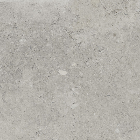Happy Floors 24" x 24" Coralina Rectified Natural Porcelain Tile