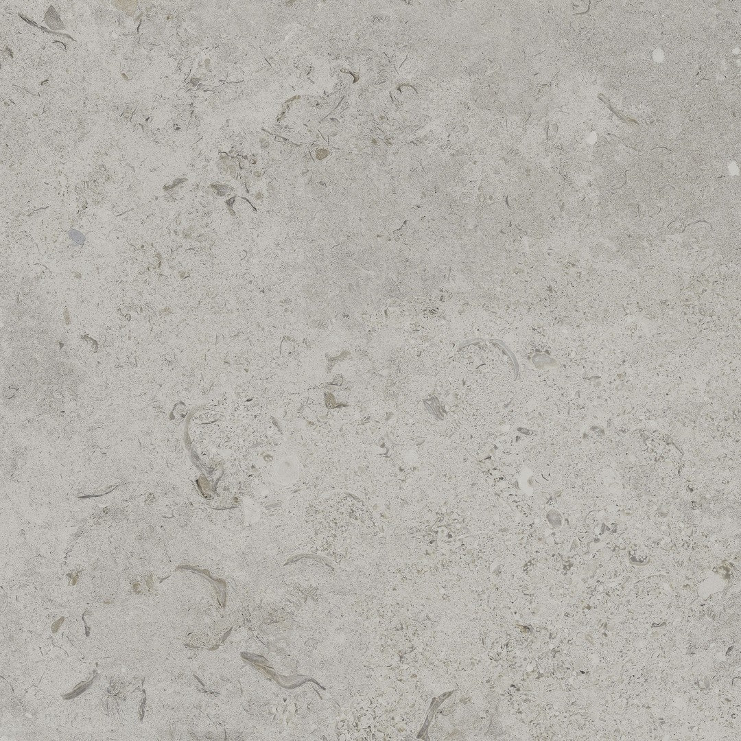 Happy Floors 24" x 24" Coralina Rectified Natural Porcelain Paver 2CM