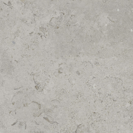 Happy Floors 24" x 24" Coralina Rectified Natural Porcelain Paver 2CM