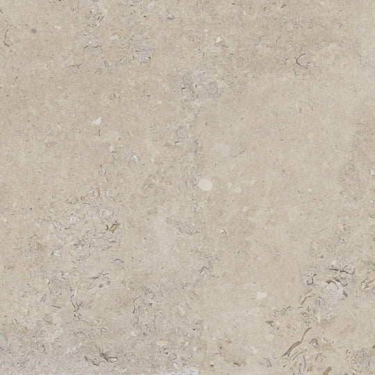 Happy Floors 24" x 24" Coralina Rectified Natural Porcelain Tile