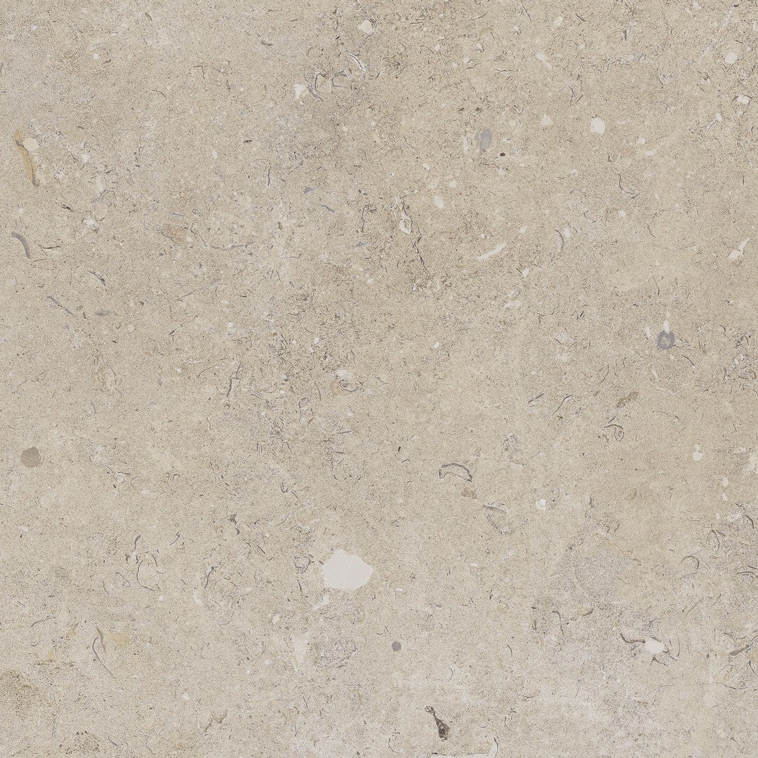 Happy Floors 24" x 24" Coralina Rectified Natural Porcelain Paver 2CM