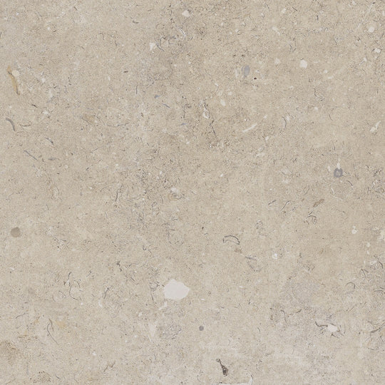 Happy Floors 24" x 24" Coralina Rectified Natural Porcelain Paver 2CM