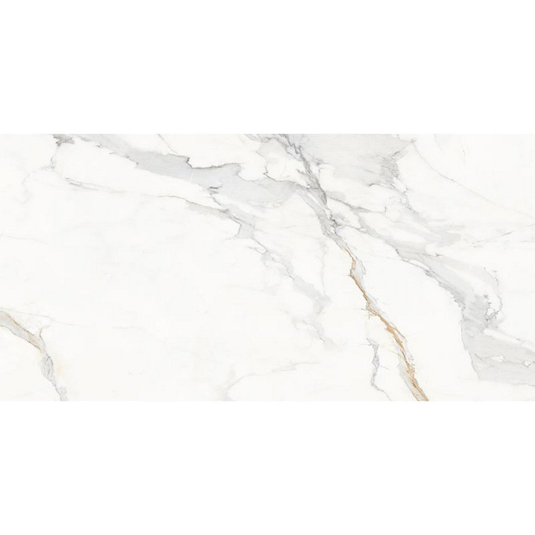 Happy Floors 12" x 24" Marbella Rectified Natural Porcelain Tile