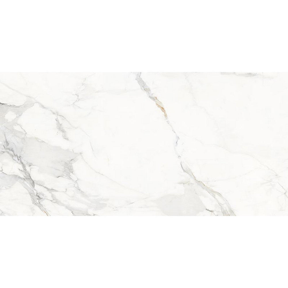 Happy Floors 24" x 48" Marbella Rectified Natural Porcelain Tile