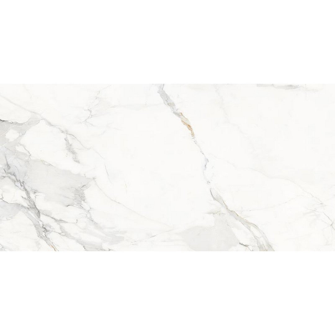 Happy Floors 24" x 48" Marbella Rectified Natural Porcelain Tile
