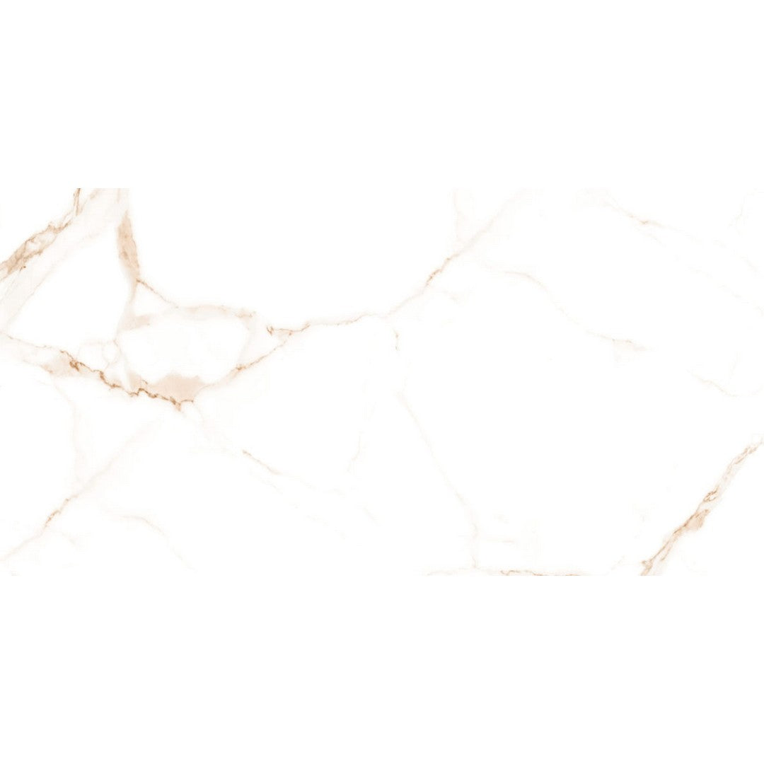 Happy Floors 12" x 24" Alsacia 2.0 Rectified Natural Porcelain Tile