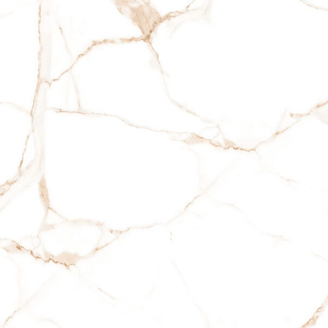 Happy Floors 24" x 24" Alsacia 2.0 Rectified Natural Porcelain Tile