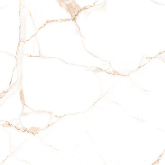 Happy Floors 24" x 24" Alsacia 2.0 Rectified Natural Porcelain Tile