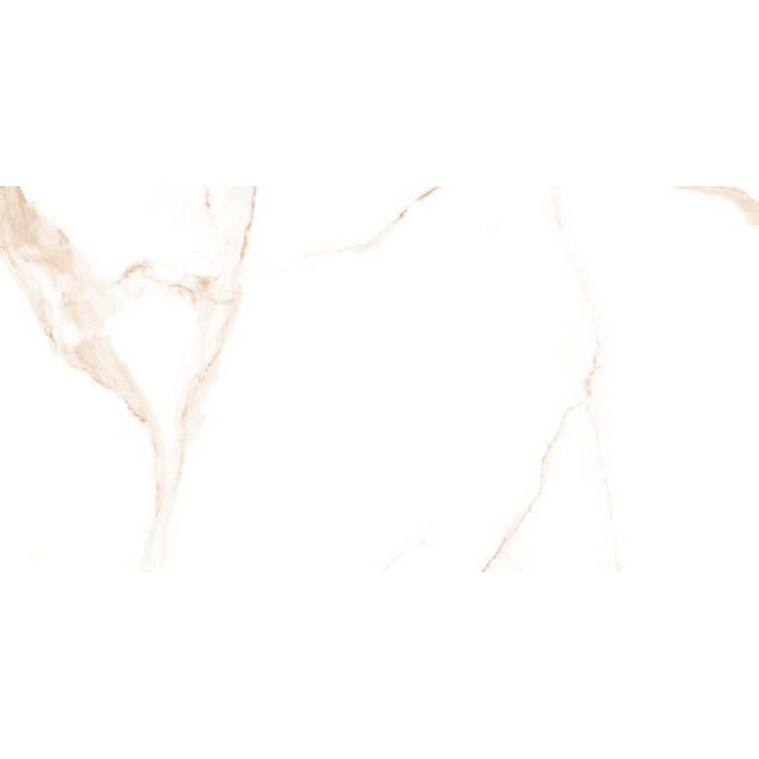 Happy Floors 24" x 48" Alsacia 2.0 Rectified Polished Porcelain Tile