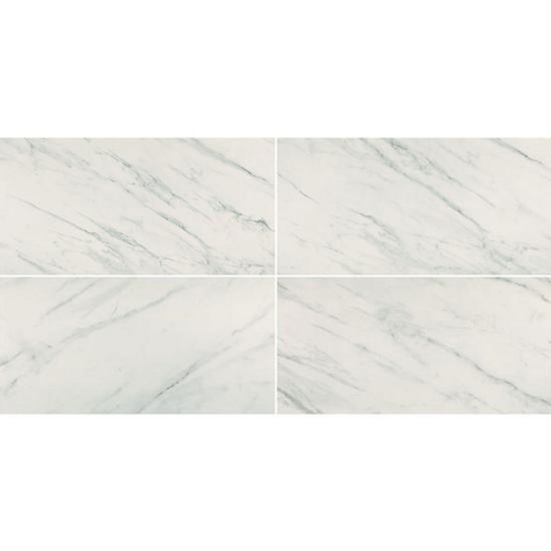 Chesapeake Alpine 12" x 24" Matte Porcelain Tile