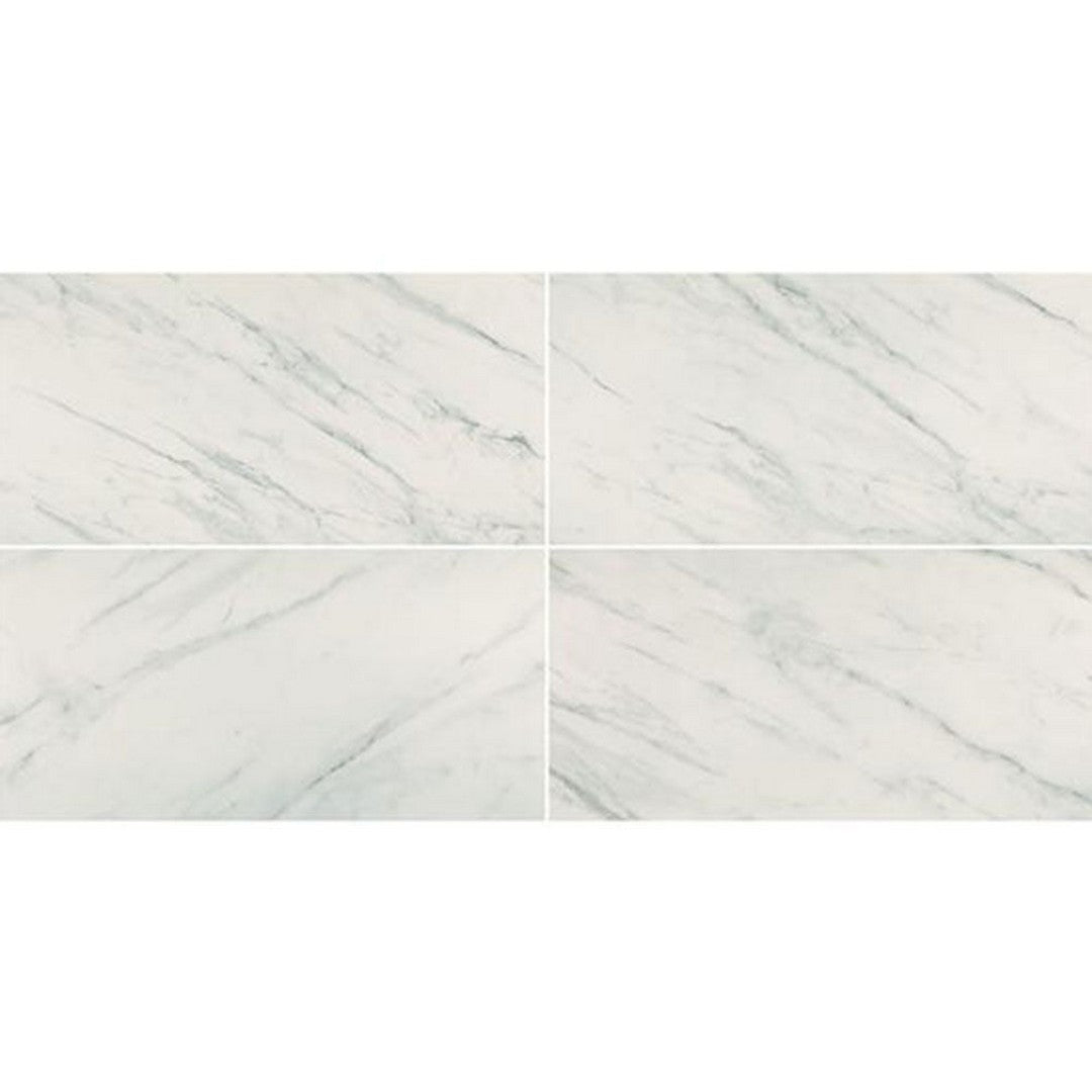 Chesapeake Alpine 12" x 24" Polished Porcelain Tile