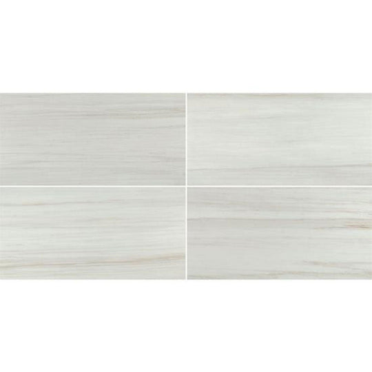 Chesapeake Alpine 12" x 24" Polished Porcelain Tile