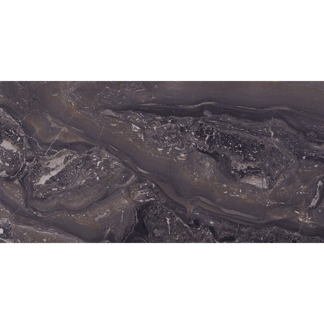 Imola 24" x 48" Aesthetica Polished Porcelain Tile