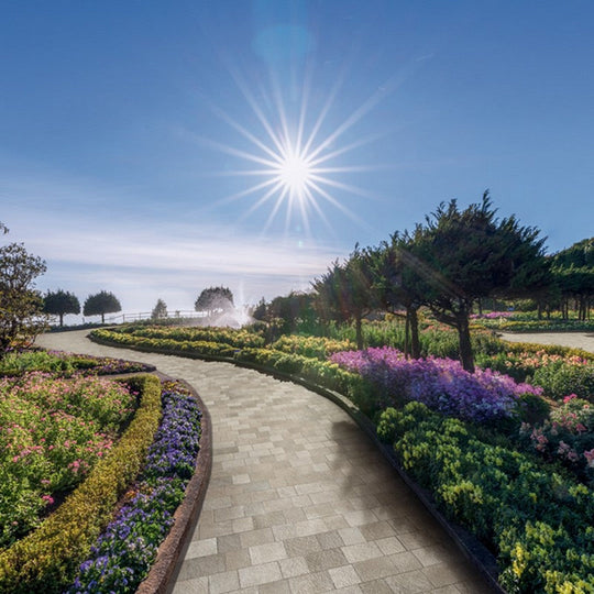 Imola-8-x-8-Trail-Natural-Porcelain-Paver-1.8cm-Mix-Stone-Griege