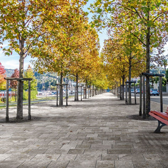 Imola-8-x-12-Trail-Natural-Porcelain-Paver-1.8cm-Quartzite-Grigia