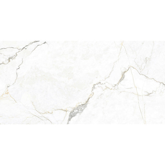 MiR Imperial 24" x 48" Rectified Porcelain Tile Matte