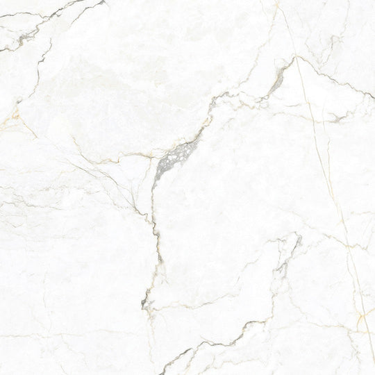 MiR Imperial 48" x 48" Rectified Porcelain Tile Matte