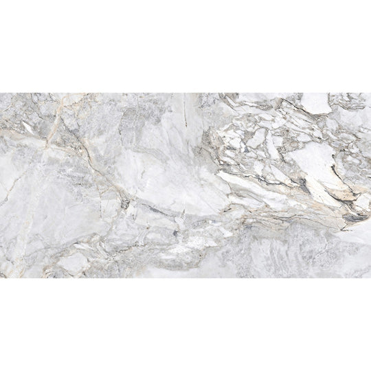 MiR Imperial 24" x 48" Polished Porcelain Tile