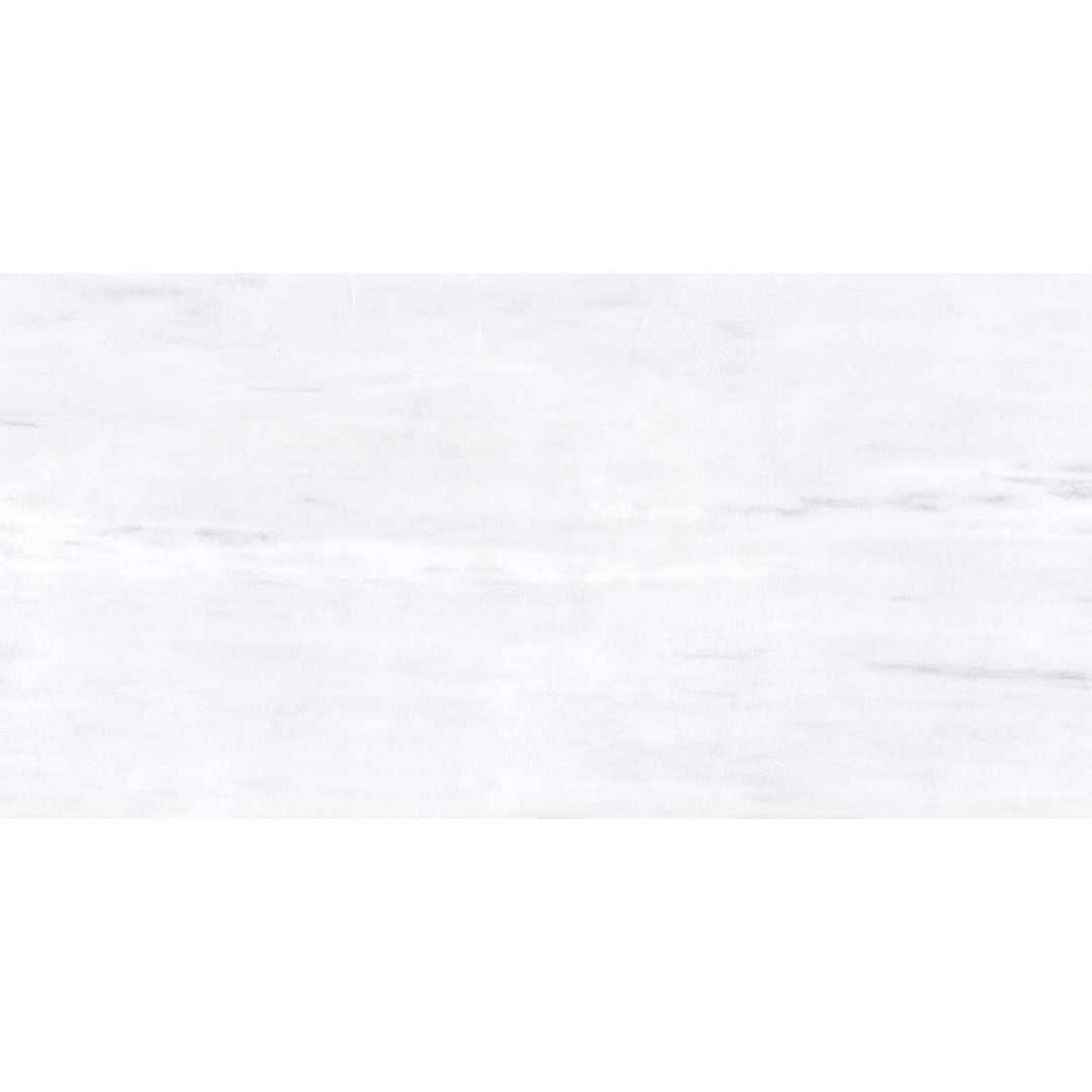 Kertiles 24" x 48" Monaco Polished Porcelain Tile