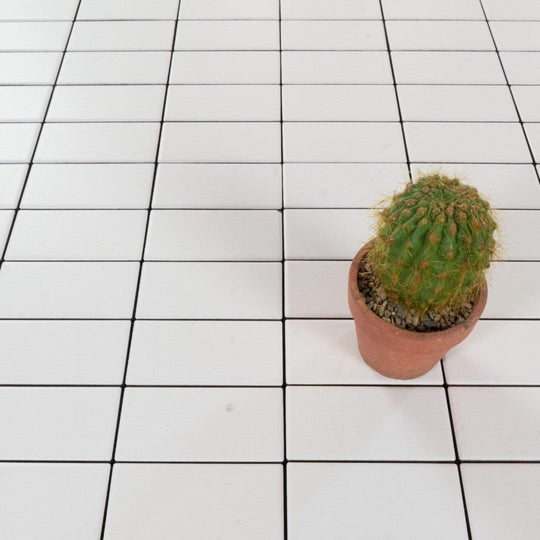 Keystone 12" x 12" Seta Matte Porcelain Mosaic-Ghiaccio