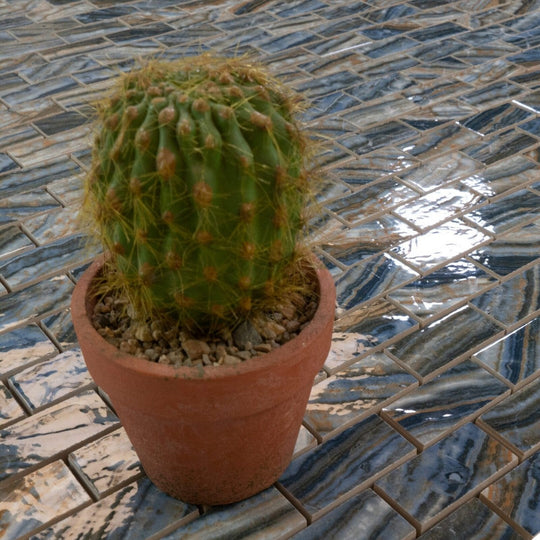 Keystone 12" x 12" Onyx Blue Polished Porcelain Mosaic-Onyx Blue