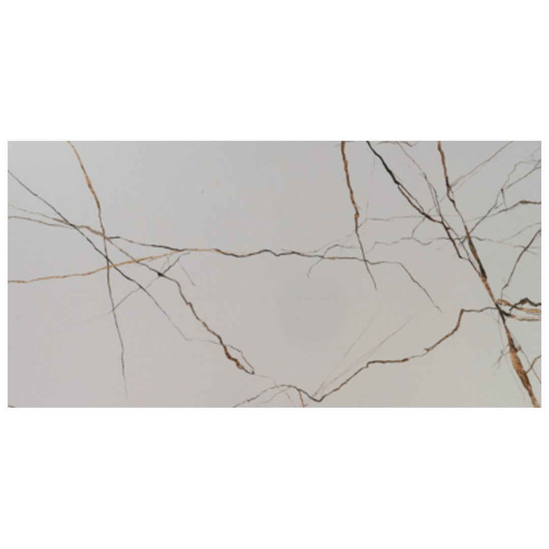 Keystone 24" x 48" Lichen Series Polished Porcelain Floor Tile