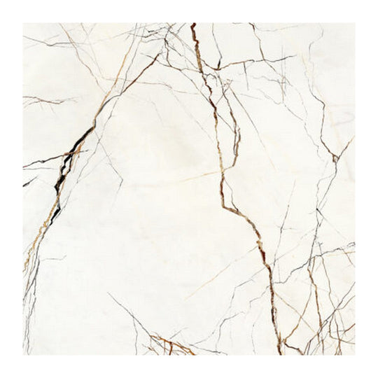 Keystone 24" x 24" Lichen Series Polished Porcelain Floor Tile