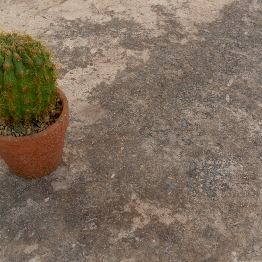 Keystone 18" x 18" Nordic Silver Honed Travertine Filled Tile-Nordic Silver