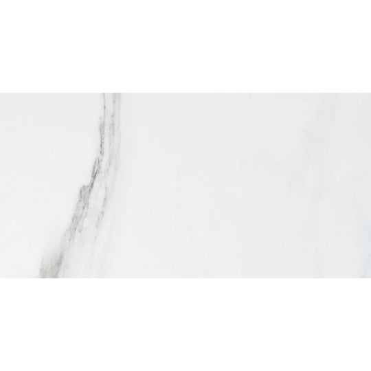 Floors 2000 12" x 24" Kolomb Pressed Matte Porcelain Tile