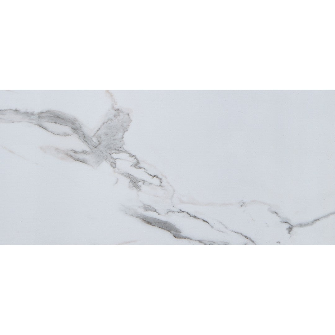 LICO US 24" x 48" Glossy Vinyl SPC Wall Panel