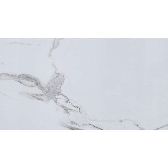 LICO US 24" x 48" Matte Vinyl SPC Wall Panel