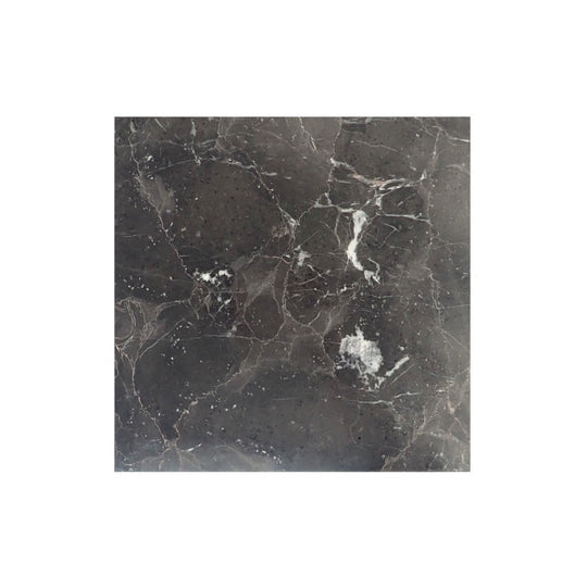Emser-9-x-9-St.-Croix-Polished-Marble-Tile-Brown